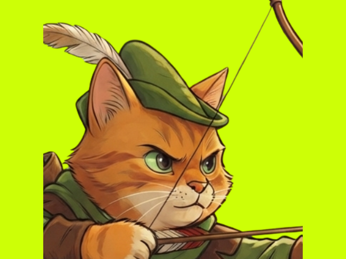 Close up on Robincat